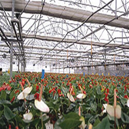 سازه گلخانه